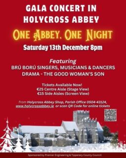 Step into the magic of Christmas at Holycross Abbey 🎄✨
Join us on Saturday, Dec 13th at 8pm for a spectacular Gala Concert featuring the Brú Ború singers, musicians, dancers & drama.
Tickets available at Holycross Abbey Shop, the Parish Office (0504-43124), via the QR code, or at holycrossabbey.ie.
A night of tradition, music and Christmas wonder awaits! 🌟

#Thurles #WhatsOntTipperary #VisitTipperary #Dwellawhile #LoveThurles #Munster #Ireland
