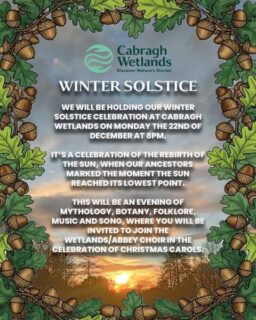 Step into the magic of the Winter Solstice at Cabragh Wetlands ✨

🗓 December 22nd
⏰ 8pm for carols, mythology, botany, folklore, music & song.
A night where nature, story and spirit come alive. 🌙🎶

#thurles #tipperary #whatsontipperary #visittipperary #dwellawhile #lovethurles #munster #ireland #tipperaryevents