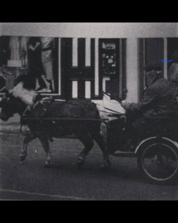 A big thank you to Deirdre Waters for sharing this wonderful piece of local history with us! 💛

Here’s her grandad, Michael “Muttie” Kenehan, a true Thurles character, pictured with his pony. Deirdre tells us he used to bring his good pal Rusty along and would visit the local primary school, giving the kids rides on the pony, the excitement he brought to the town is clear in this lovely memory! 🐴✨

Stories like this remind us of the characters who made Thurles so special, and we absolutely love hearing them. Thank you again, Deirdre, for sending this in!

Do you remember “Muttie” or have your own memories of him? Share them below! 👇