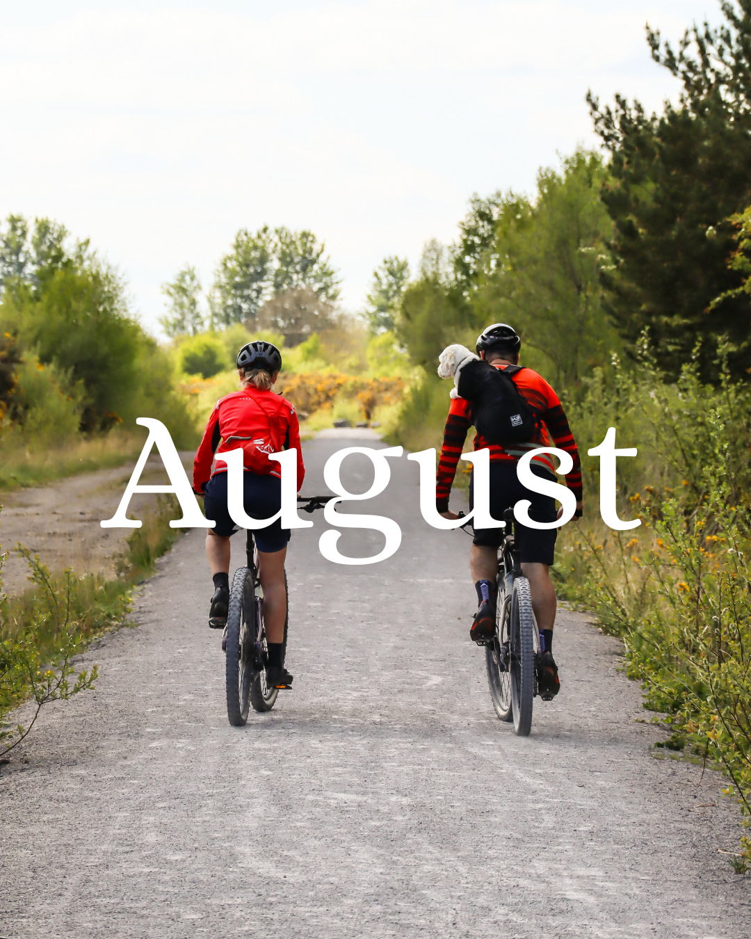 A busy summer continues in Thurles with events, gatherings, sport, music, and community life all around the town 🌿
Don’t forget, we are here to help spread the word!
👉 Submit your events, news, or business updates today by tagging us or sending us your post!
📌 DM, tag, or use our Connection Hub online to get featured!
📸 Littleton Labyrinth