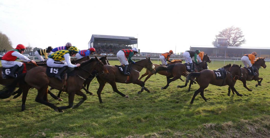 Thurles Racecourse Image 1
